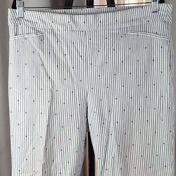 Chico's Womens Blue & White Striped, Polka Dot Cropped Pants Size 3R (16) - Picture 2 of 10